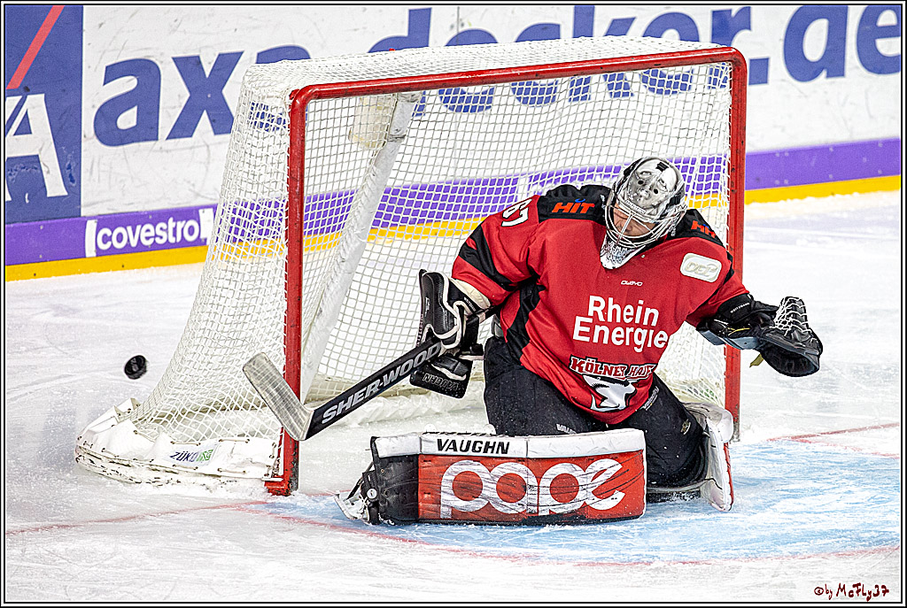 DEL; Koelner Haie - Thomas Sabo Ice Tigers Nuernberg, 19.02.2019